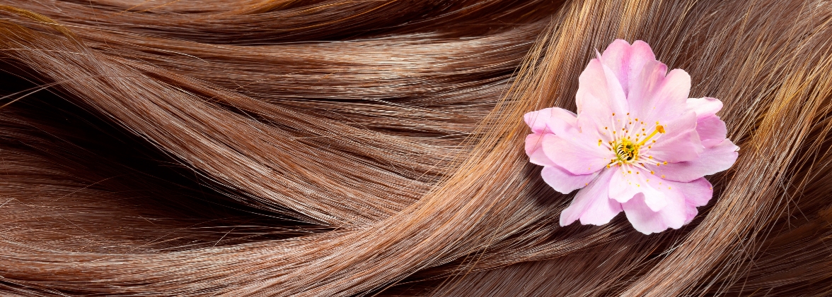 Pelo y flor Custom HTML